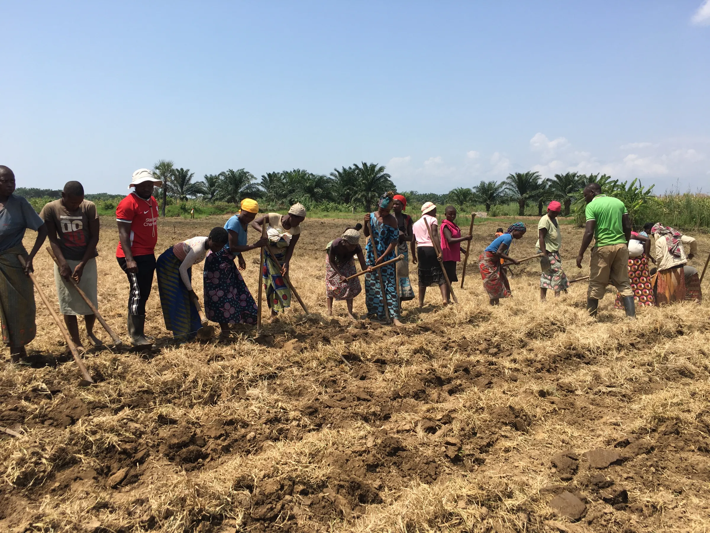 Training and practice on conservation and regenerative agriculture in Gatumba community